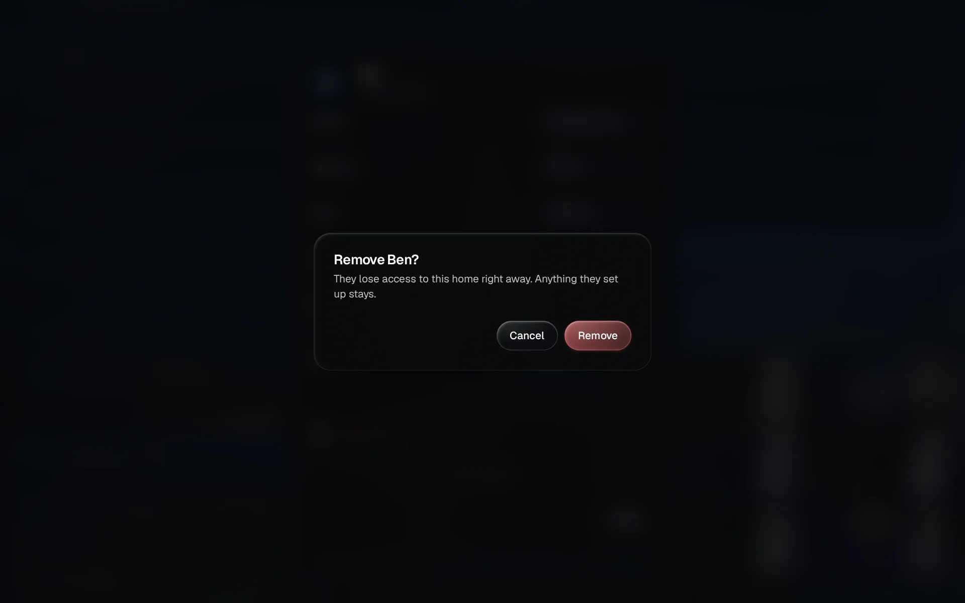 A confirmation titled Remove Ben, saying they lose access right away and anything they set up stays, with the Remove button highlighted